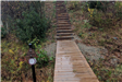 Alex Zalev, Sudbury Reservoir Trail Stairs on the south side of Route 30, Finished