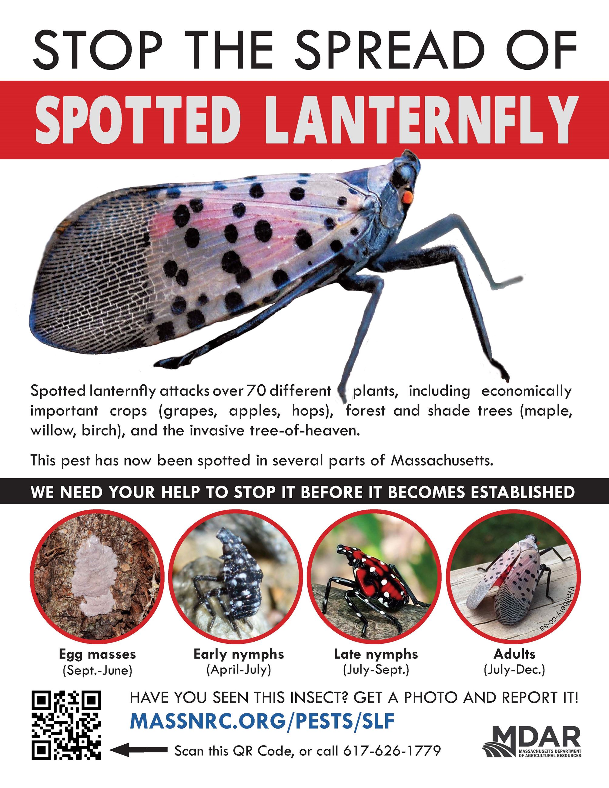 Stop the spread of Spotted Lanternfly with picture of Spotted Lanternfly 