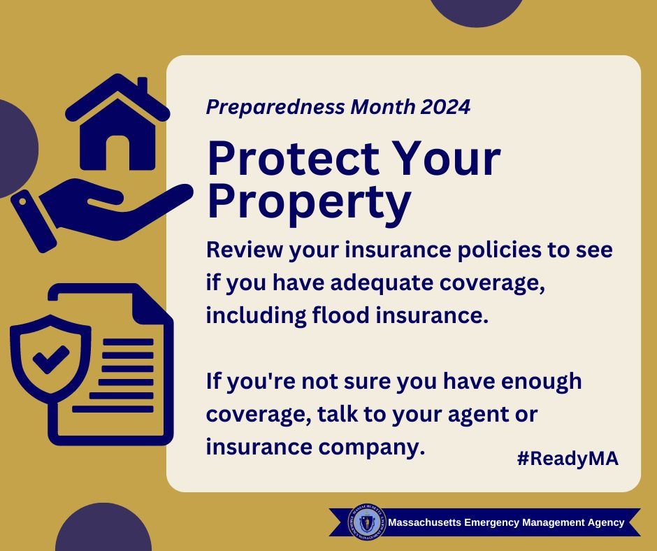 protect your property