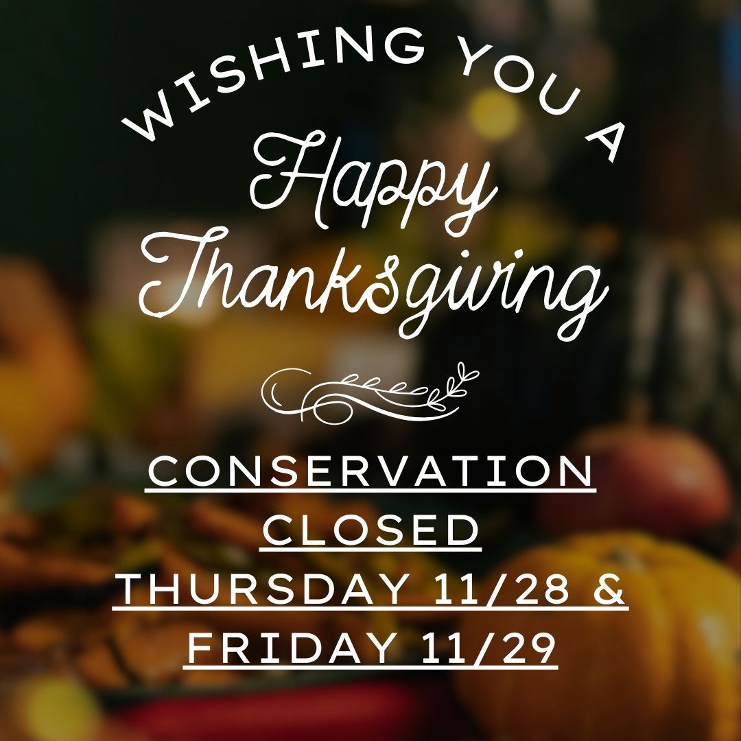 Thanksgiving Closure