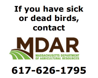 if you have sick or dead birds, contact MDAR 617-626-1795