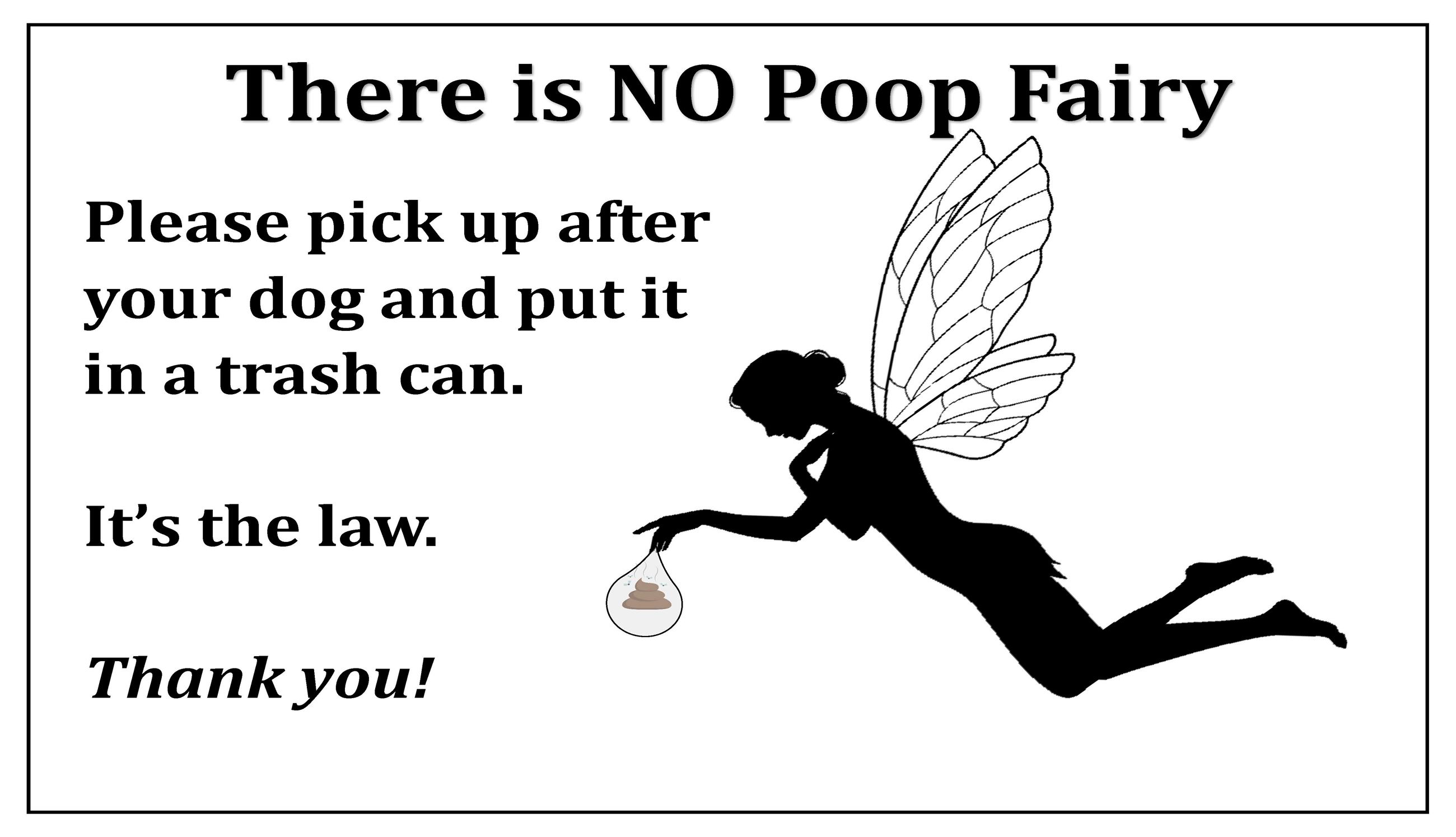 There Is No Poop Fairy